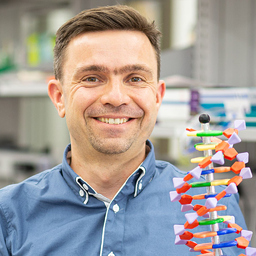 Prof. Dr. Thorsten Schmidt