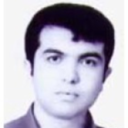 Hamed Raeeji