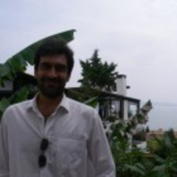 Rui Coelho