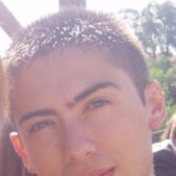 Romain Garrigues