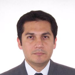 GUSTAVO ADOLFO BERMÚDEZ ALCÓCER