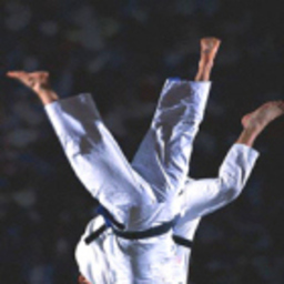Drazen Vidovic
