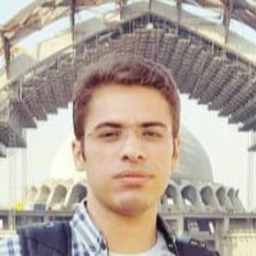 Mohamad Sarfi