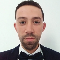 Ing. Akram Masmoudi