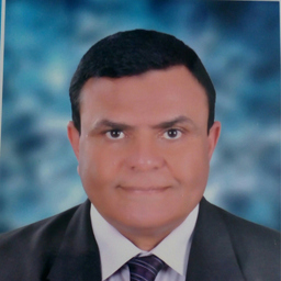Ing. Hesham Elfeky