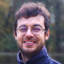Mohammadreza Kamali Sarvestani