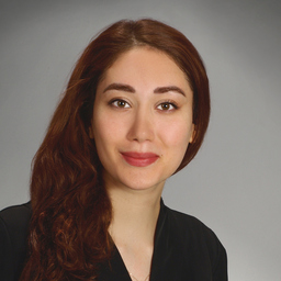 Sepideh Ansari