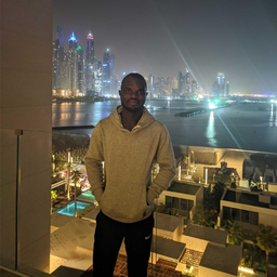 OLUWASEUN ADELEYE
