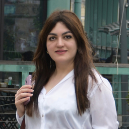 Seyedeh Elham Ashrafi