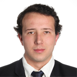 Ing. Juan Diego Trueba Guijarro