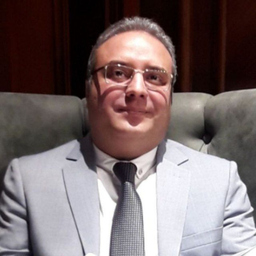 Mohammad Lotfi
