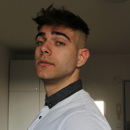 Stoyan Stoev
