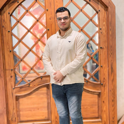 Mohammed Salah Ali Ellban