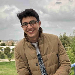 Ing. Hafedh Ben Slama