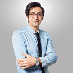 Reza Modaresi