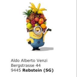 Aldo Alberto Venzi