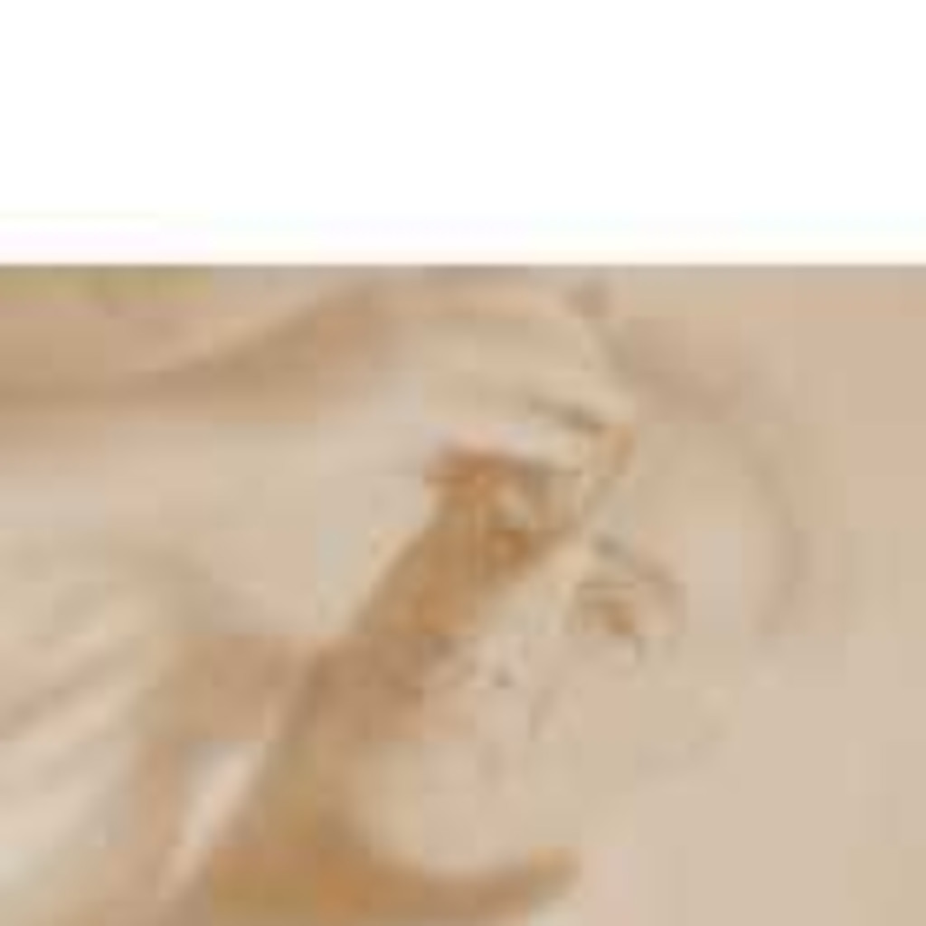 Leone Mario Romeo project manager XING