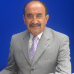 Mario De la Garza Gorostieta