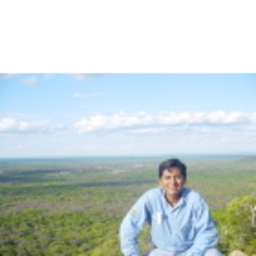 Wilfredo Mallón Mercado