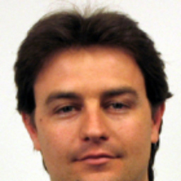 David Perales Ferrera