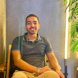 Ziad Ashraf's profile picture