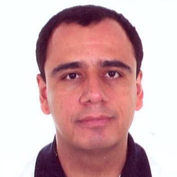 Denis da Rosa Silveira