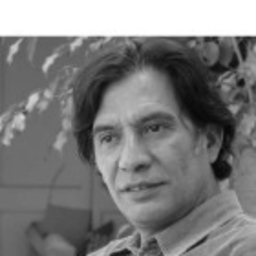 Honorio Giron Guzman