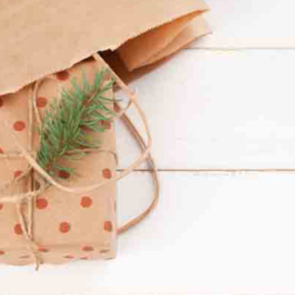 William Leo SEO Manager IBEES XING