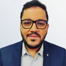 Ahmed B. Salem