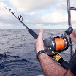 Charter Fishing Sydney