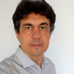 Dipl.-Ing. Radu Georgescu
