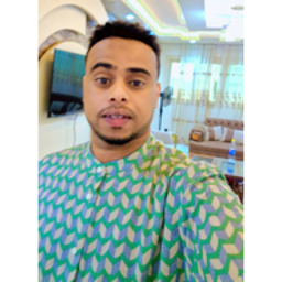 OSMAN ALI