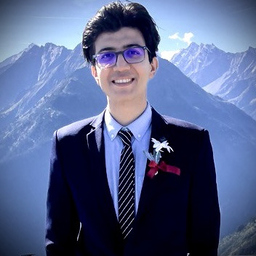 M.Hossein Motamedi