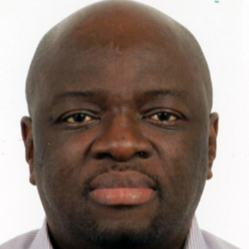 Ing. Chris Tshimanga IT Security Consultant, Network Security