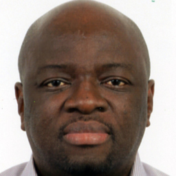 Ing. Chris Tshimanga