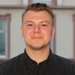 Domenic Schumacher's profile picture
