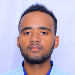 kibreyesus seyoum