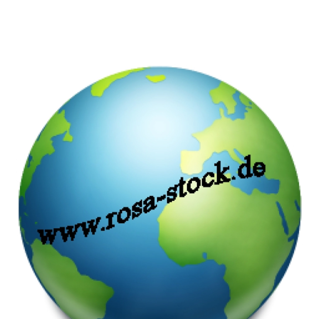 Olga Rosow Verkauf Rosa InterService GbmH & Co.KG XING