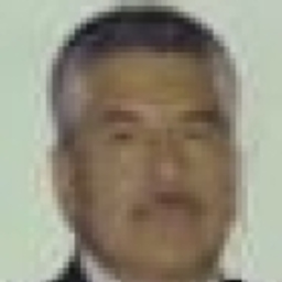 Marco Silva