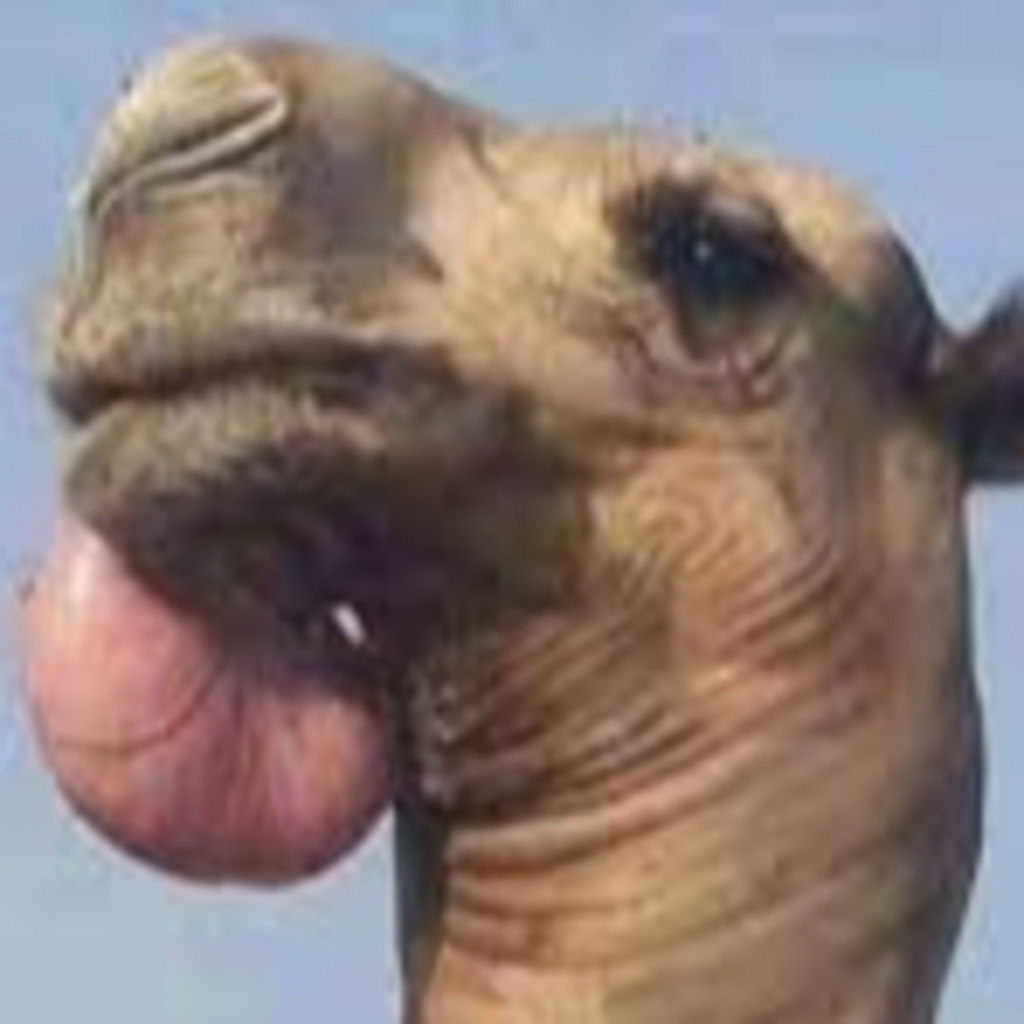 ismail hassan security team lead securitas team lead XING