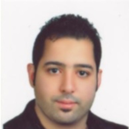 Ali Ameli