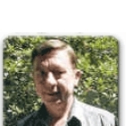 Jose Luis Gambande
