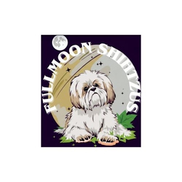 Fullmoon ShihTzus