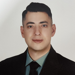 Seyed Sina Jabbari Behnam