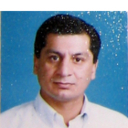 M. Salman Ali