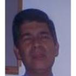 juan carlos peñaloza palomino