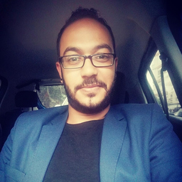 Ing. Amine Hamed