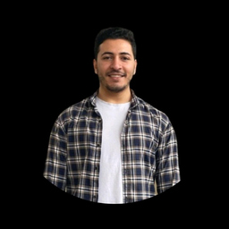 Osama Elthokby