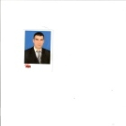 TAMER YİĞİT