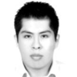 Ing. Ricardo Reyes Juarez